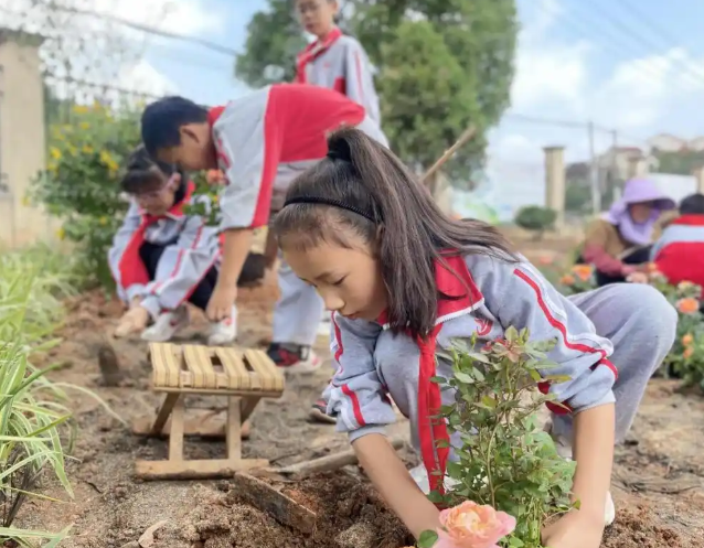 先行探究也有村莊校的量體裁衣其五維推進的體系性實踐