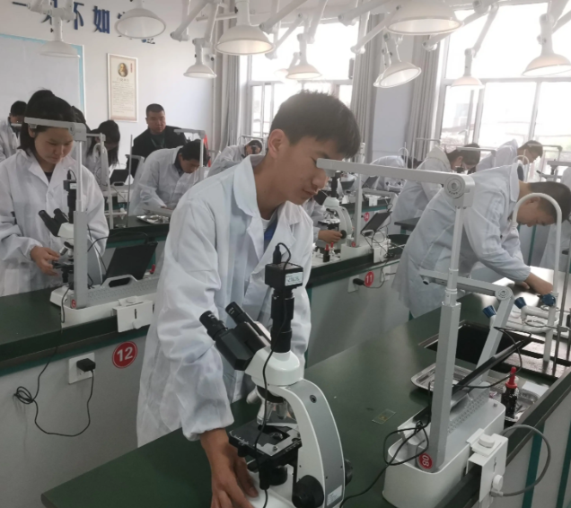 教育者都有鼓勵作用這種作用在兒童與青少年中體現得非常明顯